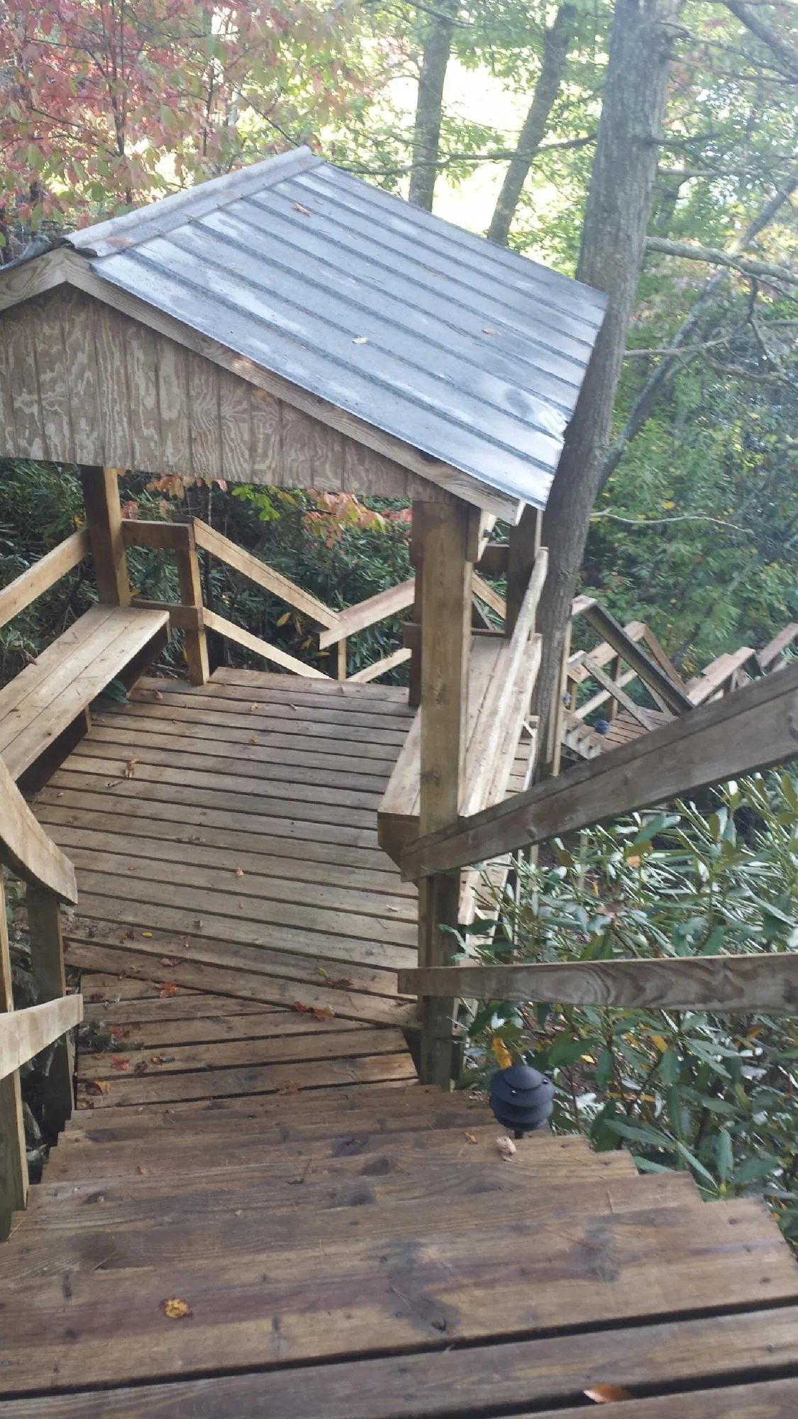 Metal roofed shelter over wooden steps on a wooded walkway — Skylight Repair & Installation work by our crew in Idleyld Park